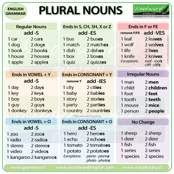Plural Nouns in English - Regular and Irregular Nouns in English
