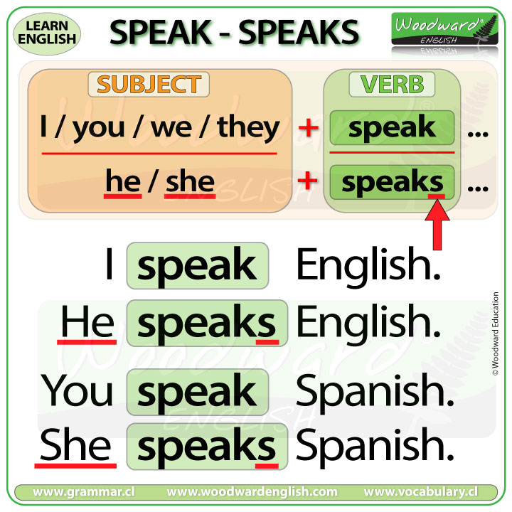 Speak Speaks - English Present Simple Tense - Learn English with Woodward English