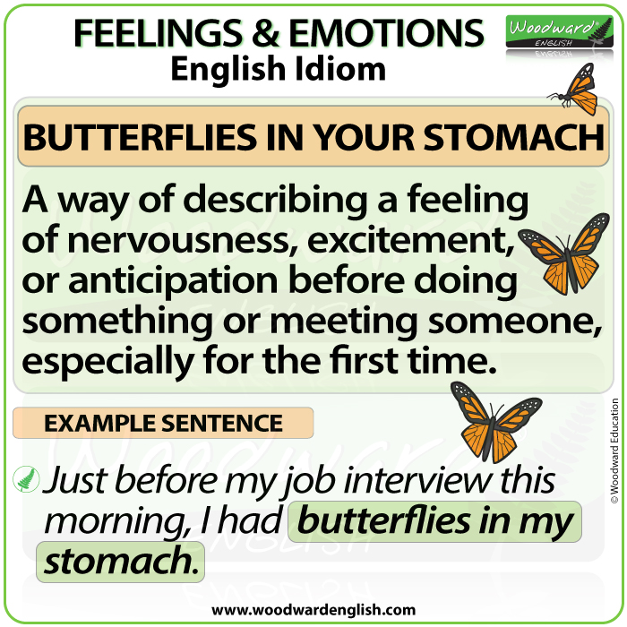 Meaning of the English idiom TO HAVE BUTTERFLIES IN YOUR STOMACH with an example sentence. English idioms by Woodward English.