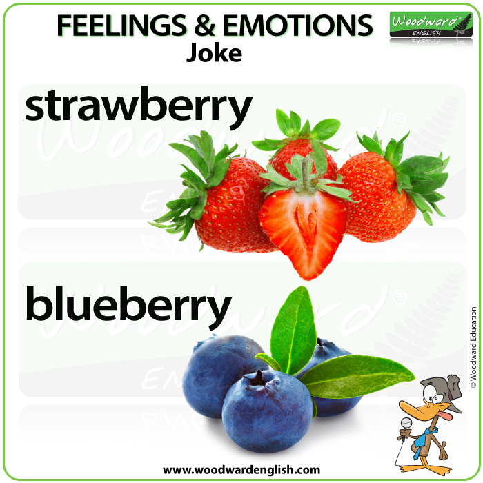 The difference between a strawberry and a blueberry with pictures - Learn English Vocabulary