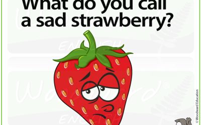 What do you call a sad strawberry?