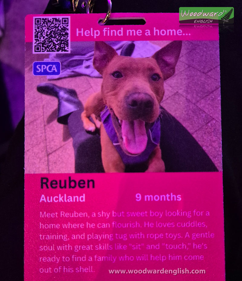 SPCA New Zealand was at NZCreatorCon 2025. This was my dog that I helped to adopt.